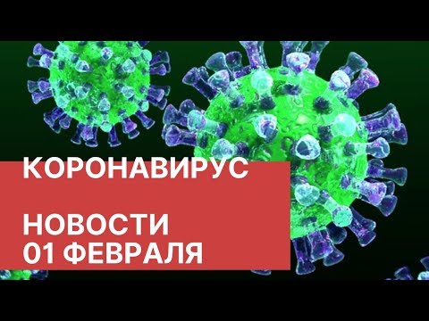 Коронавирус. Последние новости 1 февраля (01.02.2020). Распространение вируса из Китая