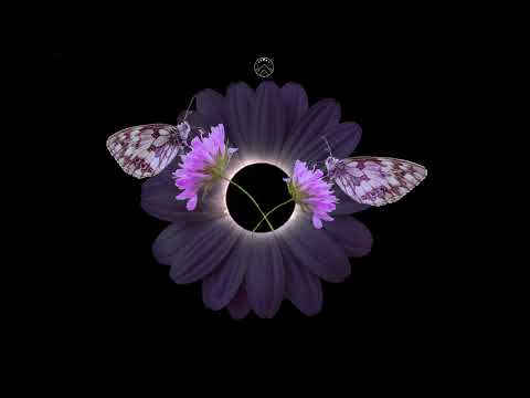 Paax (Tulum) - Profundo