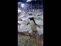 Detroit Zoo 6