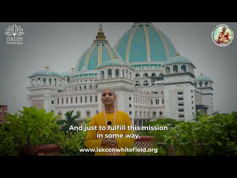 Video 5