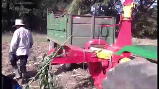 Vídeo Colhedora de Forragens e Picadora - Menta Super