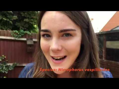 BBC Earth Presenter Search - Ellie Bladon