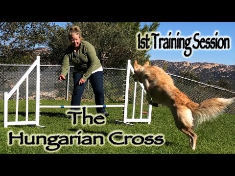 The Hungarian Cross - 1st Training Session