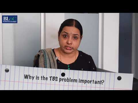 Jargon Express: The Twin Balance Sheet Problem