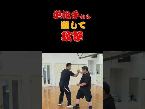 単推手から崩して攻撃