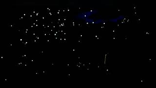 Ligabue - Il campo delle lucciole (Visual Art Video)