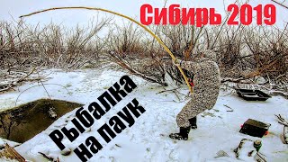 Ловля пауком на десне