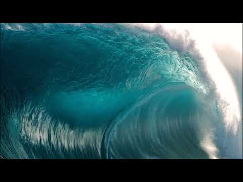 Nicolae Coman (1936-2016): L'ombra del mar (2014)