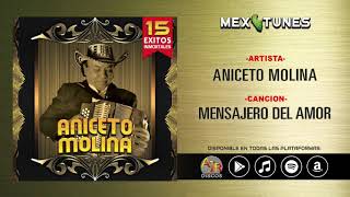 Mensajero De Amor Lyrics English Translation
