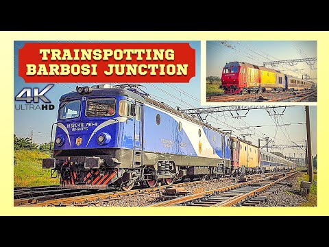 [4K] Trenuri la Rasarit la Ramificatia Barbosi / Sunrise Trains at Barbosi Junction | Galati
