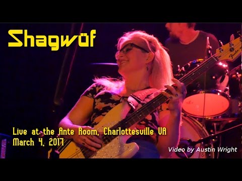 Shagwüf - Live at the Ante Room March 4, 2017