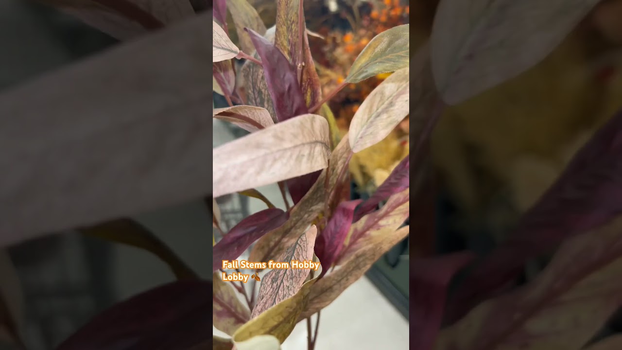 Fall stems from Hobby Lobby 2024 #fall #hobbylobby #decoration #new #2024 #2024shorts #stems