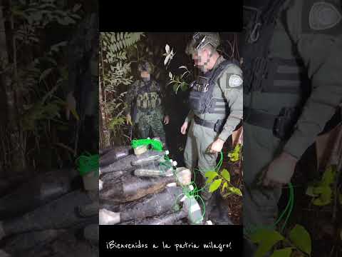 El tigre sigue cazando señores #elministro