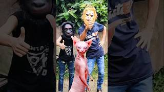 Download lagu 😲cat vut funny video #prasenjitrimpaps #comedy #funny #memes #cat#youtube #shorts mp3
