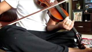 Ayayayo Aanandhamae -From  Kumki on Violin . Notes in description