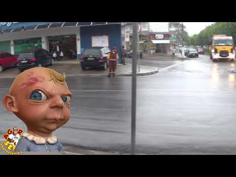 Novos Marronzinhos de Juquitiba nas ruas da Cidade