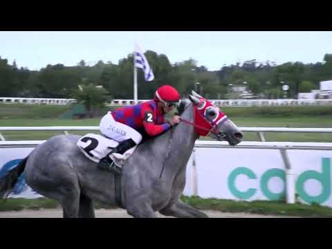 230408 c01 - LADY HAVEN - HIPODROMO LAS PIEDRAS