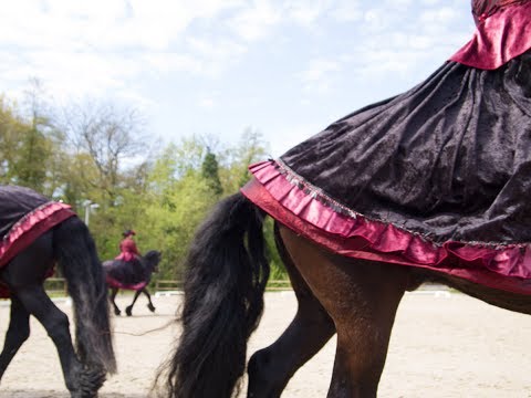 Vacht en veren aflevering 30: Friese paarden carrousel