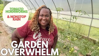 I am so BEHIND in my Garden | Hornworms and Rain