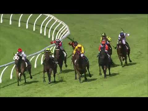 Son of a Brut runs 4th at Doomben (4th October 2017)