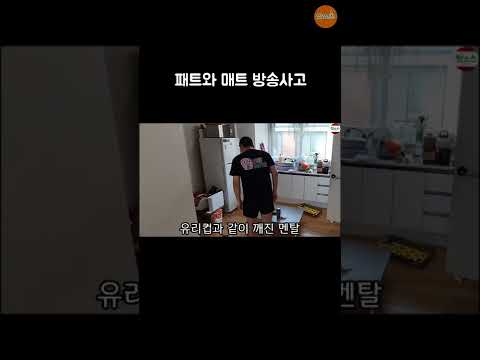 패트와 매트 방송사고 #shorts #쇼츠