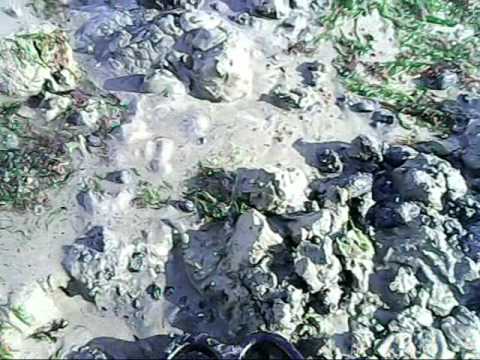 metal detecting , minelab explorer 2 finds gold ring on beach,