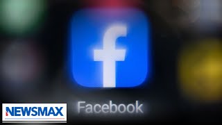 Facebook reverses 'permanent' shut down on conservative children book | National Report