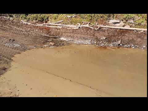 Balta in Cheile Narujei