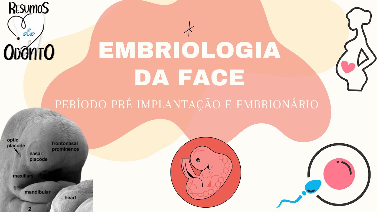 EMBRIOLOGIA FACIAL | Período Embrionário e Pré-Implantação