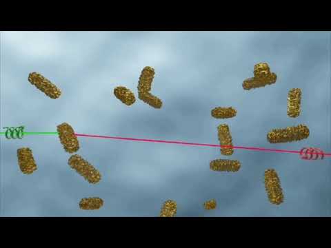 Chiral nanoplasmonics