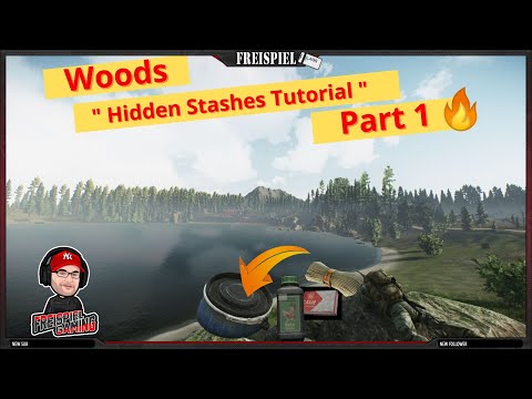 Verstecke / Hidden Stashes  auf Woods - Escape from Tarkov - ⭐Teil 1⭐ - Anfänger Guide