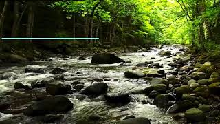 Download lagu Lembra de mim (Ivan Lins-VitorMartins) mp3 Download lagu Lembra de mim (Ivan Lins-VitorMartins) mp3