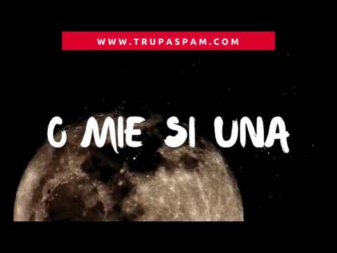 SPAM - O mie și una