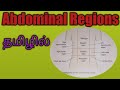 Abdominal Regions Explained  in Tamil /Human Biology
