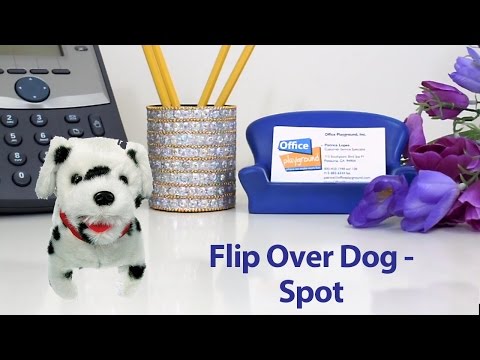 Flip Over Dog - Spot