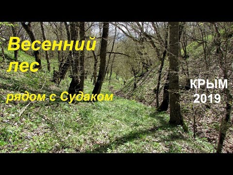 Крым, Судак, апрель 2019. Прогулка в лес: ручьи, цветы, лошади
