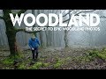 The SECRET to IMPROVE Landscape Photography in Woodland
