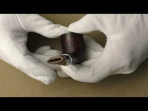 Dunhill Cumberland 4110 - pipe D642