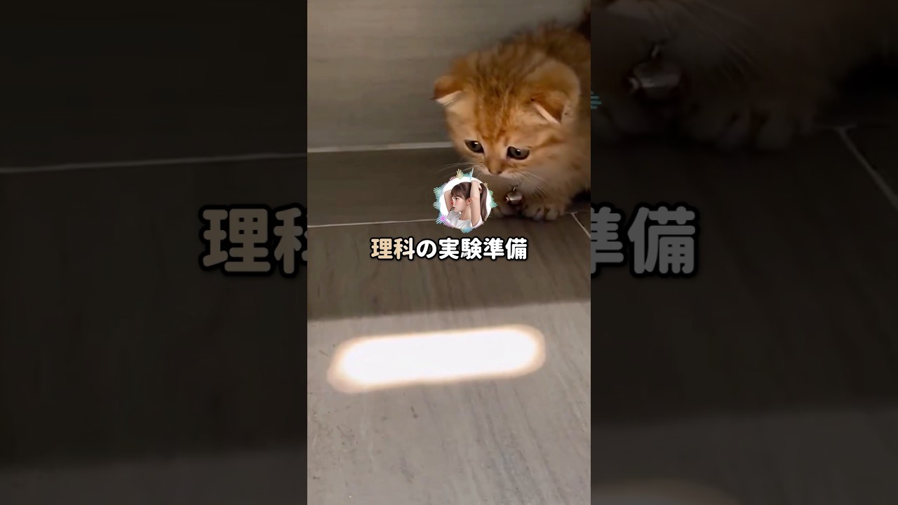 「学級委員として仕事頑張る！」前田さんはそう意気込んだものの…