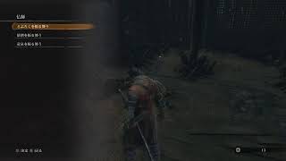 【SEKIRO】ワカシーおじさんの忍道　2周目 ♯2　【PS4】