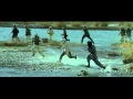 Trailer Special Forces 2011