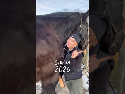 Stop en 2026 ! ❌🤣 #chevaldetrait #cheval #equitation