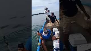 preview picture of video 'Pesca Deportiva En Isla Chepillo. Estamos para servirles siempre'