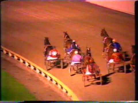 1987 Interdominions - Addington, Christchurch: Trotters' 3rd Heat, Landora's Pride
