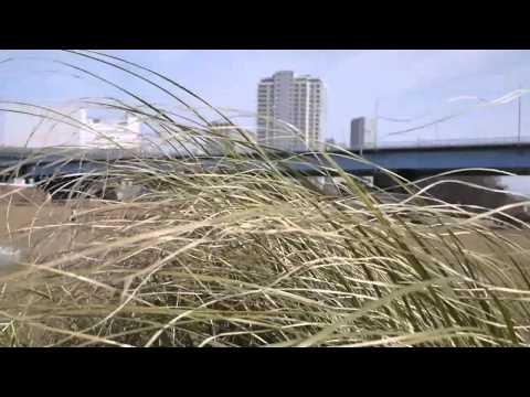 Relaxing spring day at Futako Tamagawa riverside