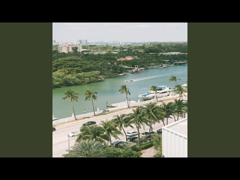 72 Hours in Miami