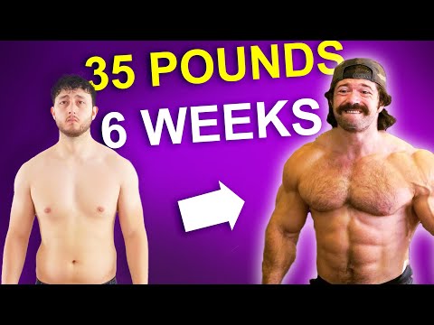 I tried Alex Hormozi's $100,000,000 Diet (6000 calories a day)