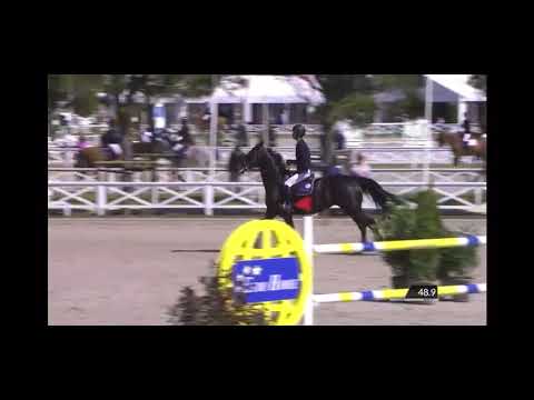 Nayana ADB - 1.50 niveau - Dimme D'haese