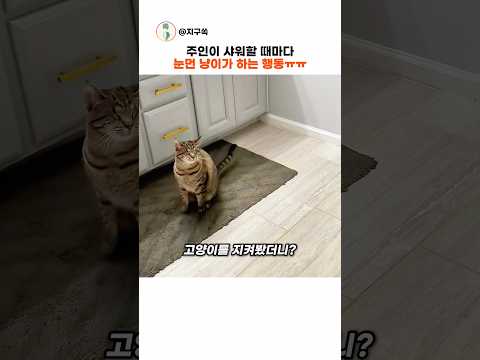 전 세계 집사들을 울린 눈먼 고양이의 행동 #동물