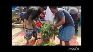 উপজেলা প্রাণিসম্পদ অফিসের কিছু কার্যক্রম